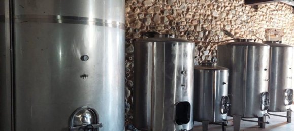 Коммерческая недвижимость 605м² в Тораль де лос Вадос, Испания № 86601 13