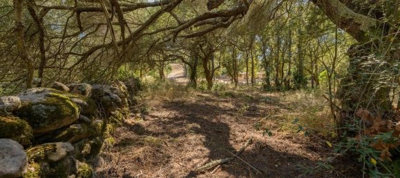 5 Schlafzimmer Villa in Porto-Vecchio, France, Nr. 263786 23