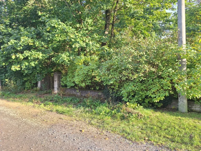  Land in Markisch-Oderland, Germany No. 235395