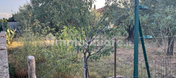 قطعة أرض في Pianopoli, Italy 520متر مربع رقم 343144 3