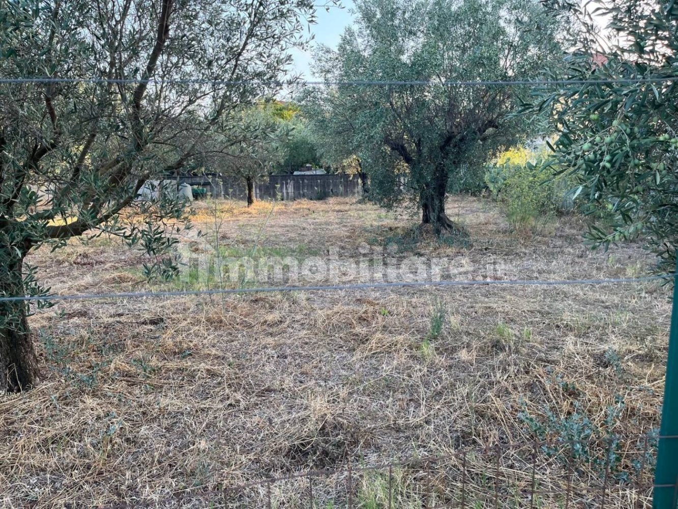  قطعة أرض في Pianopoli, Italy 520متر مربع رقم 343144