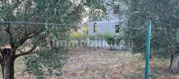 قطعة أرض في Pianopoli, Italy 520متر مربع رقم 343144 4