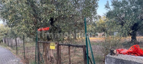 قطعة أرض في Pianopoli, Italy 520متر مربع رقم 343144 2