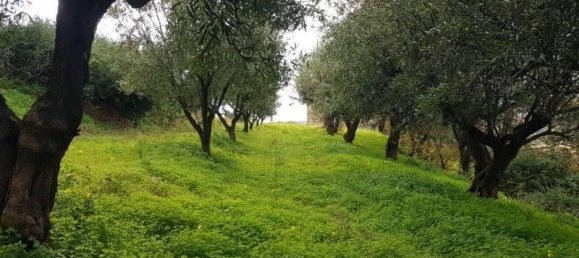 Studio in Gizzeria, Italy No. 39415 6