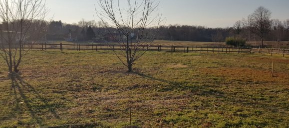 6-Zimmer Villa in Borgo Ticino, Italy, Nr. 75955 3