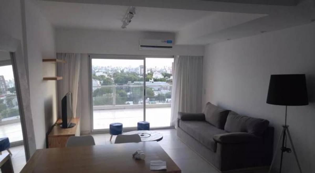 Studio à Palermo, Argentina No. 80669