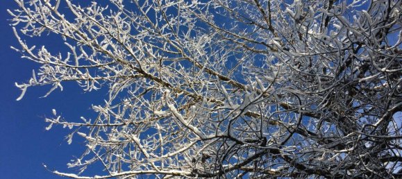 3غرفة شقة في Kitzbuhel, Austria رقم 235327 32