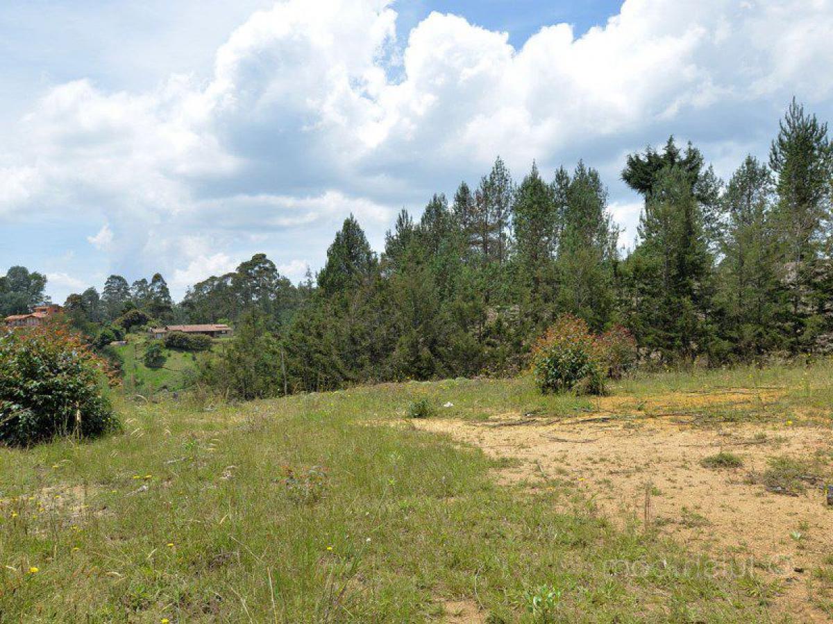  Land in Antioquia, Colombia No. 811