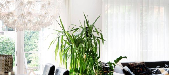 5 rooms House in Gramastetten, Austria No. 249804 2