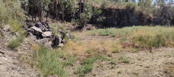  قطعة أرض في Rebordosa, Portugal رقم 189464 17