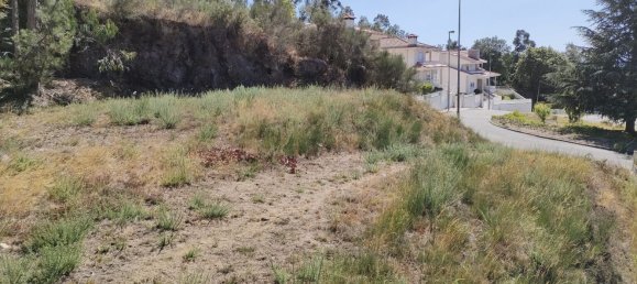  قطعة أرض في Rebordosa, Portugal رقم 189464 5