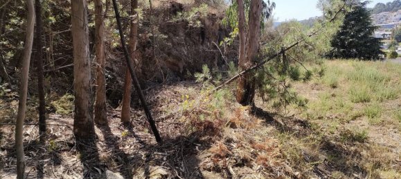  قطعة أرض في Rebordosa, Portugal رقم 189464 10