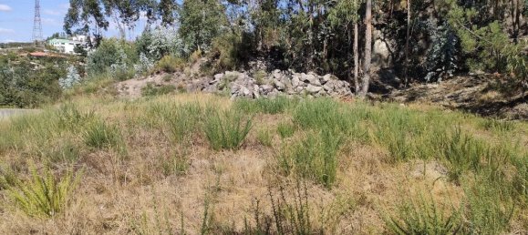  قطعة أرض في Rebordosa, Portugal رقم 189464 3