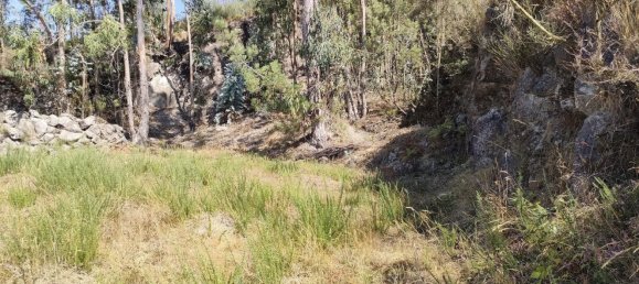  قطعة أرض في Rebordosa, Portugal رقم 189464 19