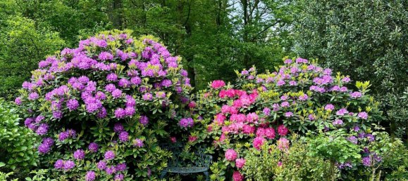 5-salle Appartement à Essen, Germany No. 66858 35