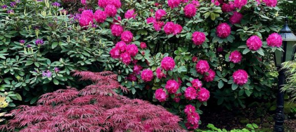 5-salle Appartement à Essen, Germany No. 66858 33