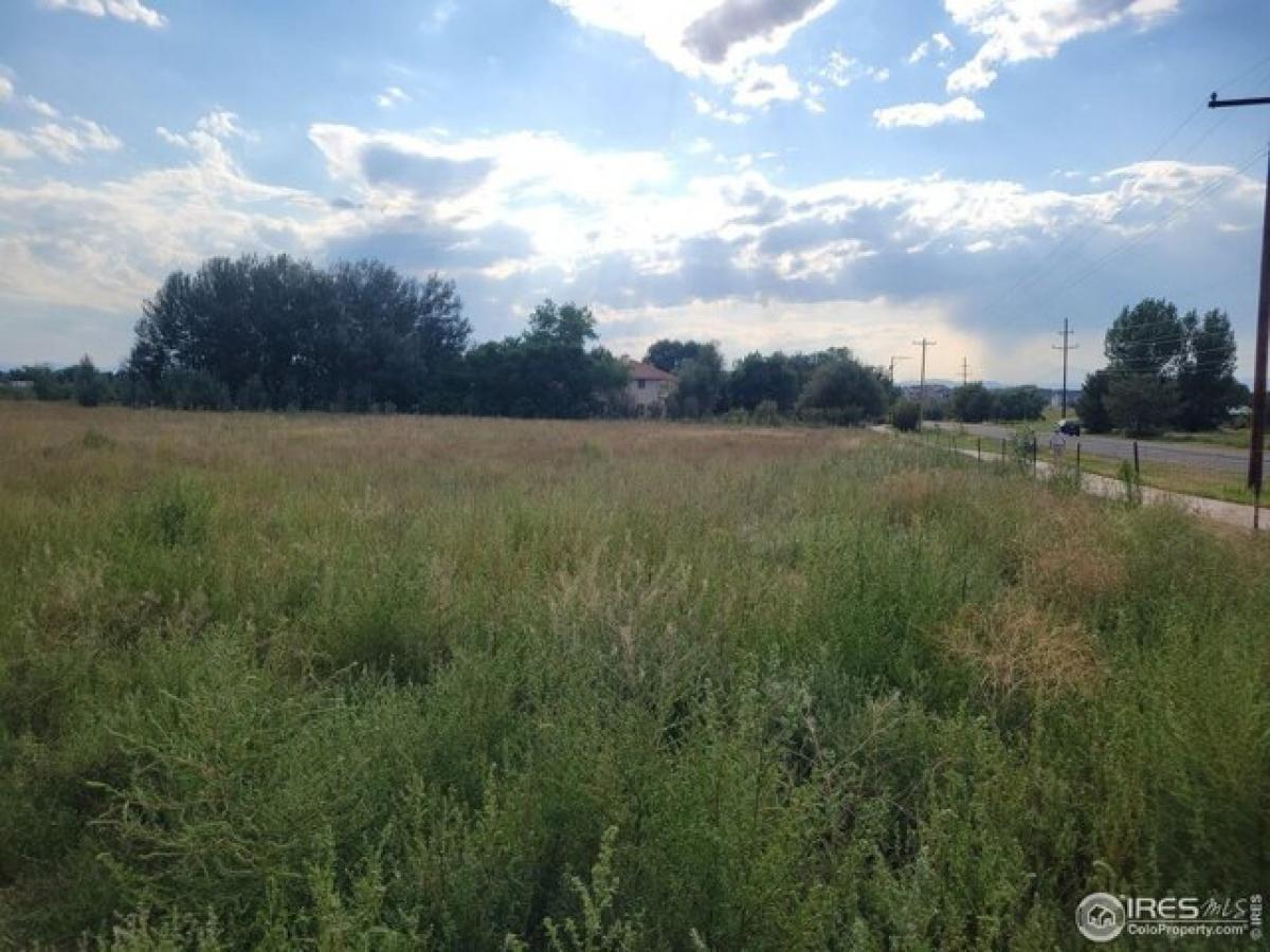  Land in Longmont, USA No. 495642