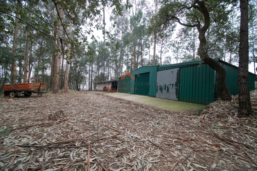 10 Schlafzimmer Haus in Oliveira de Azemeis, Portugal, Nr. 72005