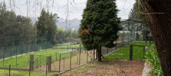 10 Schlafzimmer Haus in Oliveira de Azemeis, Portugal, Nr. 72005 48