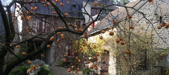 4 chambres Châteaux à Vitré, France No. 162216 11