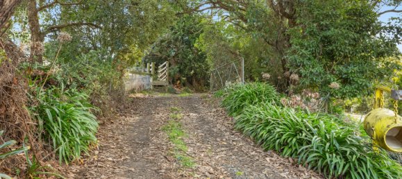 3 chambres Ferme à Hallston, Australia No. 509 24