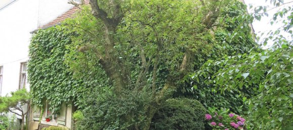 Здание 496м² в Цвайбрюккен, Германия № 52981 10