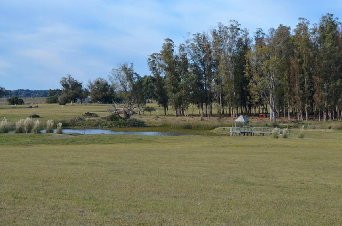 Земельный участок в Мальдонадо, Уругвай № 14608