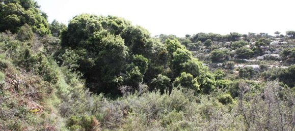 27000m² Hotel in Rethymno, Greece No. 5784 6