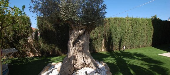 5 Schlafzimmer Haus in Ciudad Quesada, Spain, Nr. 183692 9