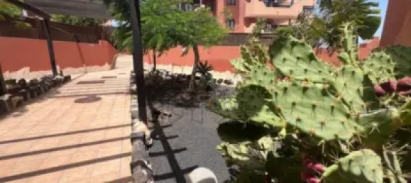 Apartamento de 2 dormitorios en La Oliva, Spain No. 170138 19