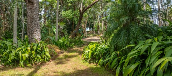 3 Schlafzimmer Bauernhof in Dunoon, Australia, Nr. 705 20