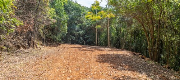 3 Schlafzimmer Bauernhof in Dunoon, Australia, Nr. 705 27