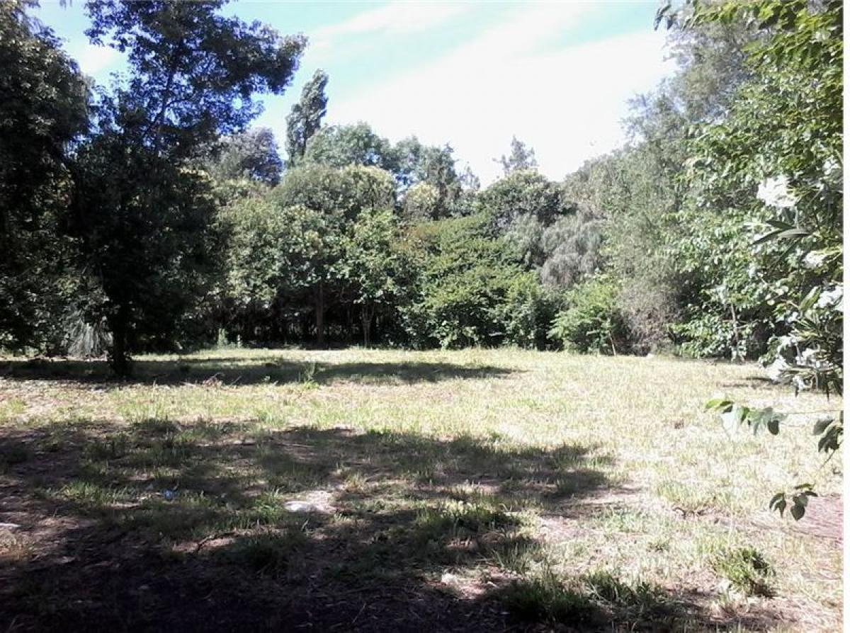 Terreno en Pilar, Argentina No. 31989