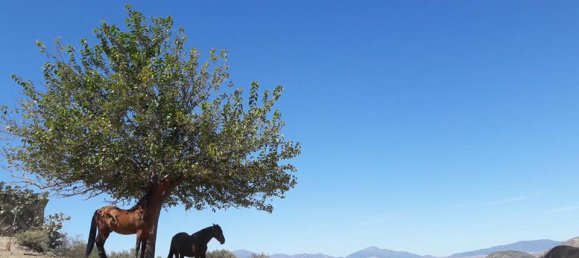 Grundstück in Alhaurin de la Torre, Spain, Nr. 217455 14