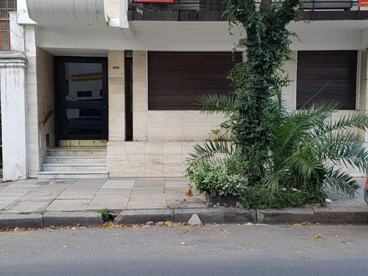 Studio in Buenos Aires, Argentina, Nr. 66358