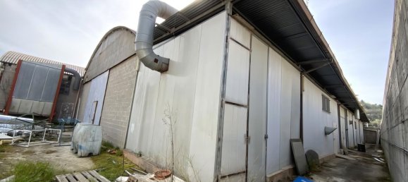5710m² Warehouse in Ripatransone, Italy No. 163323 15