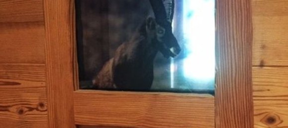 3 rooms Apartment in Limone Piemonte, Italy No. 285940 30