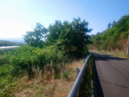 8713m² Land in Soalhaes, Portugal No. 57417