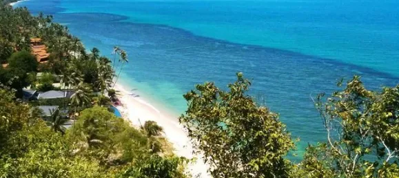 18غرفة مقهى / مطعم في Anhalt-Bitterfeld, Germany رقم 57086 11