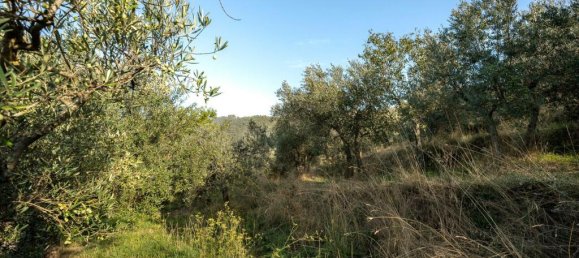 3 Schlafzimmer Haus in Cortona, Italy, Nr. 55571 51