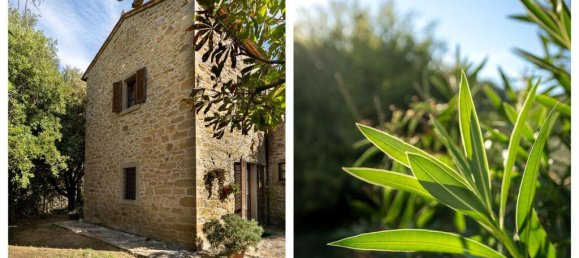 3 Schlafzimmer Haus in Cortona, Italy, Nr. 55571 11