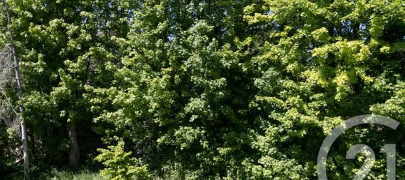 2 bedrooms House in Montgeron, France No. 319388 8