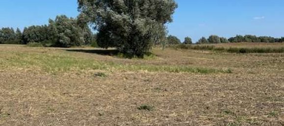 Terreno en Uckermark, Germany No. 222477 4