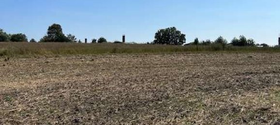 Terreno en Uckermark, Germany No. 222477 8