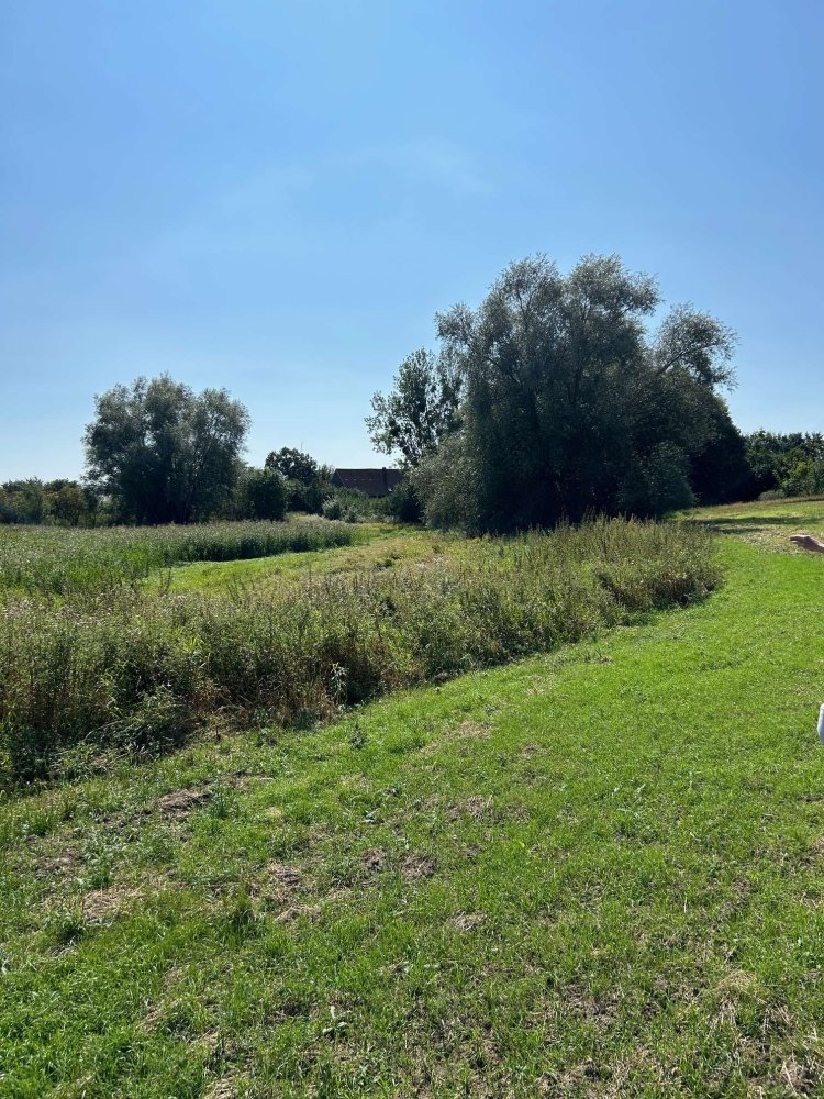 Terreno en Uckermark, Germany No. 222477