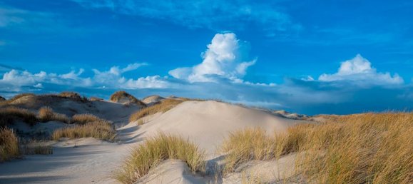 3 bedrooms Townhouse in Nordfriesland, Germany No. 368542 4