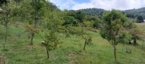 4 Schlafzimmer Haus in San Martin del Rey Aurelio, Spain, Nr. 184483 22