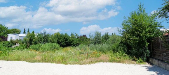 Grundstück in Ingolstadt, Germany, Nr. 325822 3