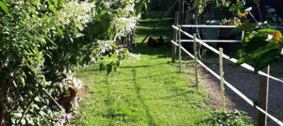 2 bedrooms House in Wartmannstetten, Austria No. 37730 5