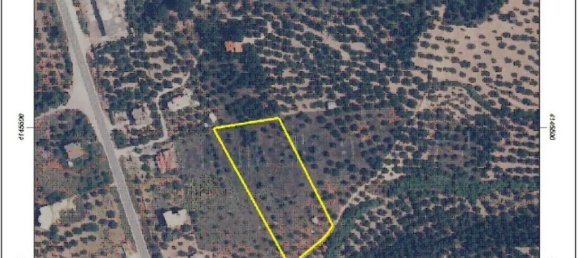 Земельный участок 6253м² в Захаро, Элида, Западная Греция, Пелопоннес, Западная Греция и Ионические острова, Греция № 93259 11